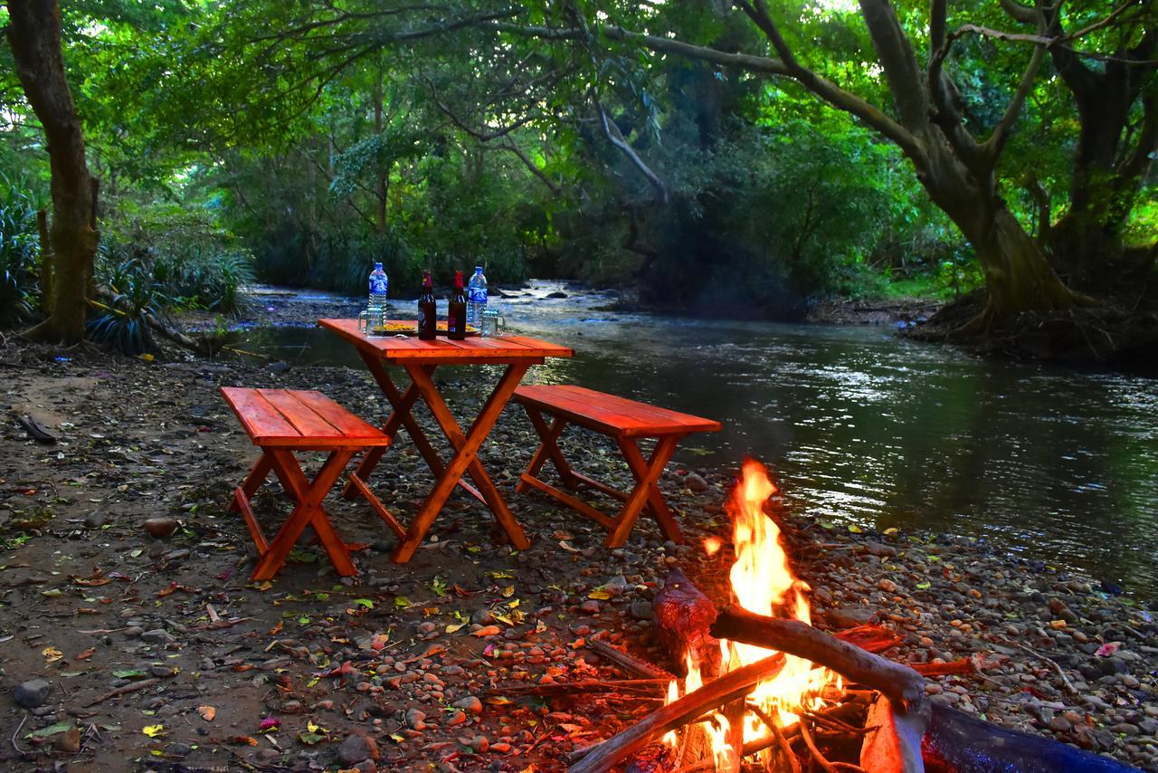 Silent River Cottage ウダワラウェ エクステリア 写真